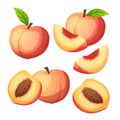 peach fruit set cartoon vector