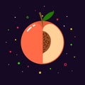 Peach fruit sphere with half slice logo, flat icon design template concept Royalty Free Stock Photo