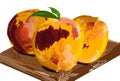 Peach fruits harvest in fall autumn season Vector watercolors