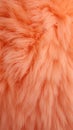 peach furry surface textured. Peach Fuzz color trend, banner, copy space