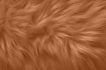 Peach fuzz fur texture is monochrome. Color 2024