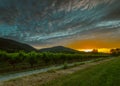 Peach garden at sunset Royalty Free Stock Photo