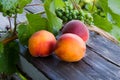 Peach and grapes Royalty Free Stock Photo