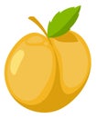 Peach icon. Summer juicy fruit. Sweet garden plant