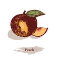 Peach Illustration.Vintage Ink Hand Drawn Peach,isolated On The White Background.