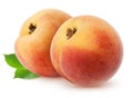 Peach isolated. Two whole peach fruits with leaves isolated on white with clipping path. Royalty Free Stock Photo