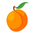 Peach isolated vector icon. Fruit icon isolated.