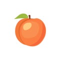 Peach isolated vector icon. Peach fruit on branch with leaf. Juice or jam branding logotype.