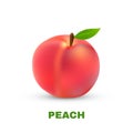 Peach isolated on white background. Vector Royalty Free Stock Photo