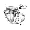 Peach jam glass jar vector drawing. Fruit Jelly and marmalade. Royalty Free Stock Photo