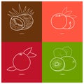 Peach,Kiwifruit, Coconut,Grapefruit