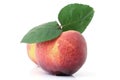 Peach with leaf Royalty Free Stock Photo