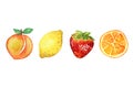 Peach, Lemon, Strawberry, Orange watercolor on white backgroundin