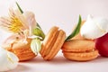 Peach macaroon cookies, meringues, French cookies with yellow Alstroemeria flower on a beige background