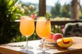 Peach Mimosa Cocktails for Brunch Royalty Free Stock Photo