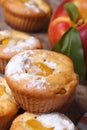 Peach muffins with icing sugar closeup on the table