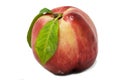 Peach, nectarine Royalty Free Stock Photo
