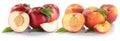 Peach nectarine peaches nectarines slice half fruit fresh fruits Royalty Free Stock Photo