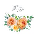 Peach, orange, yellow English garden rose flowers, green eucalyptus leaves, branches bouquet. Watercolor style, editable vector Royalty Free Stock Photo
