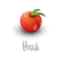 Peach, organic fruit, vegetarianism, vitamins in the garden vector illustration, vector particles, grain style Royalty Free Stock Photo