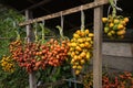 Peach palm fruit Royalty Free Stock Photo