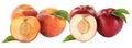 Peach peaches fruit fruits and nectarine nectarines isolated on Royalty Free Stock Photo
