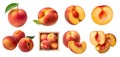 Peach peaches Nectarine Nectarines fruit, many angles and view side top front bunch isolated on transparent cutout, PNG Royalty Free Stock Photo