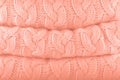 Peach Pink. Pantone fashion colors autumn-winter 2019-2020 knits pile. Warm cozy home and fashion colors concept