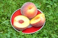 Peach in plate on grass