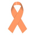 the peach ribbon uterine cancer awareness symbol