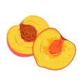 Peach ripe fruit cut in half, isolated halves of yellow sweet fresh peach or nectarine Royalty Free Stock Photo