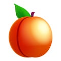 Peach ripe, fruit whole fresh organic, orange color, icon. Vector illustration symbol icon cartoon