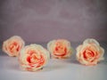 4 peach rose flower blooms sitting on a shiny white surface with a rose marble background.  Simple and elegant home decor Royalty Free Stock Photo