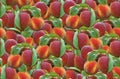 Peach Seamless Pattern