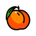 Peach simple color icon