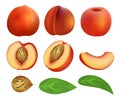 Peach slices fruit leaf mockup set, realistic style Royalty Free Stock Photo