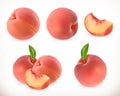 Peach. Sweet fruit. 3d vector icons set