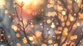 Peach tree bokeh soft light filtering through branches creating a delicate pattern Royalty Free Stock Photo