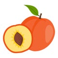 Peach vector.Fresh peach illustration