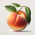 Peach, velvety and orange in color, on white background