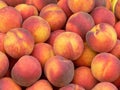 Peaches Royalty Free Stock Photo