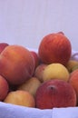 Peaches and apricots in a basket Royalty Free Stock Photo