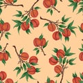 Peaches, apricots fruits on branches with green leaves on a gentle background. Seamless pattern. Hand-drawn watercolor