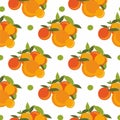 Peaches and apricots vector seamless pattern. Apricot seamless pattern. Vector drawing. Summer food background. Great for label, Royalty Free Stock Photo