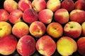 Peaches background Royalty Free Stock Photo