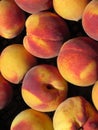 Peaches background Royalty Free Stock Photo