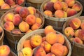 Peaches in bushel baskets