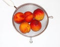 Peaches in colander isolated