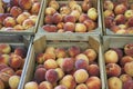 Peaches displayed at farmer`s market