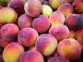 Peaches at farmers market Royalty Free Stock Photo